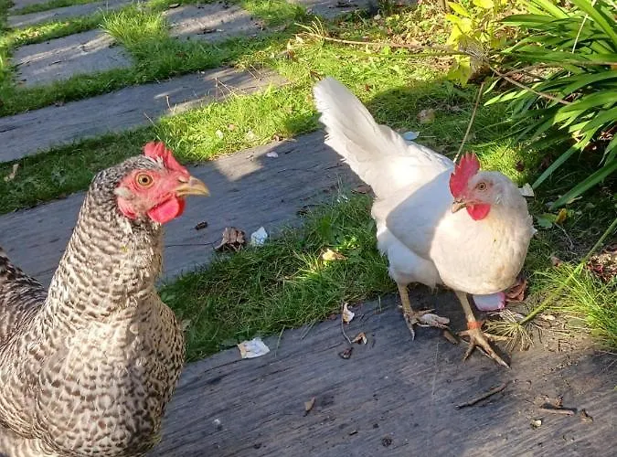 Maison Independante Avec Terrasse Privee - Le Pigeonnier * נאנט